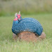 Wildcrete Guinea Fowl Trio